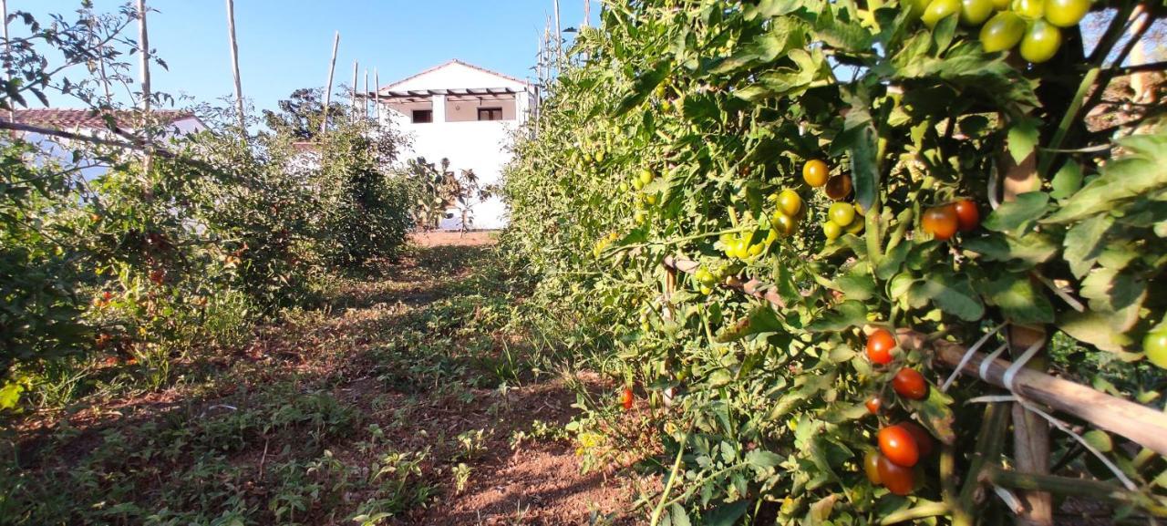 Cort'E Nastasj Hotel Tertenia Luaran gambar